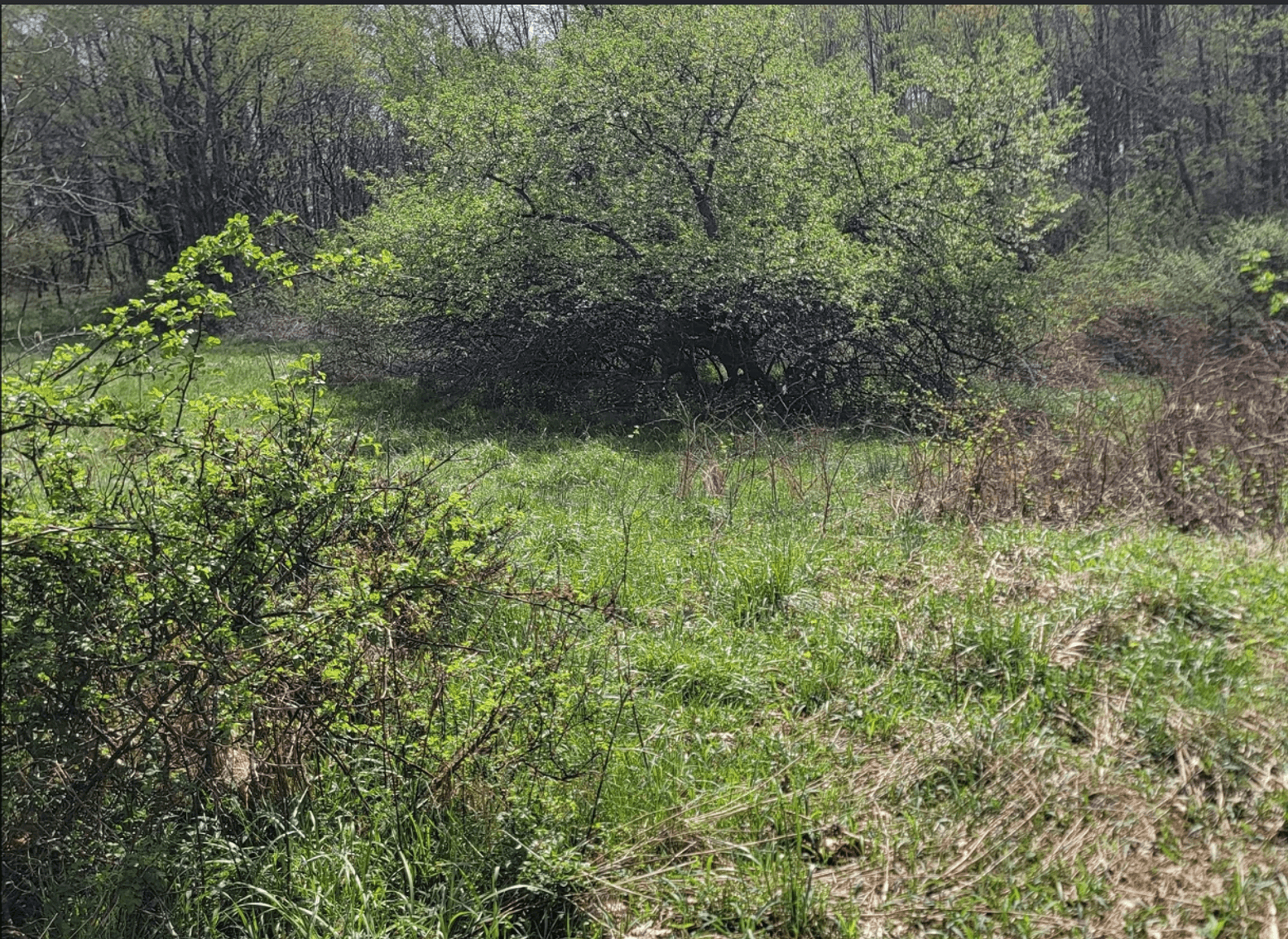 Image for TBD Determined Veterans Memorial Highway Kingwood, 5 Acre Lot!