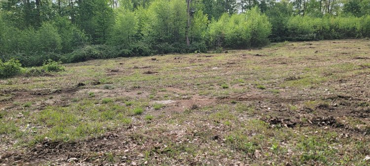 Image for TBD Determined Veterans Memorial Highway Kingwood, 5 Acre Lot!