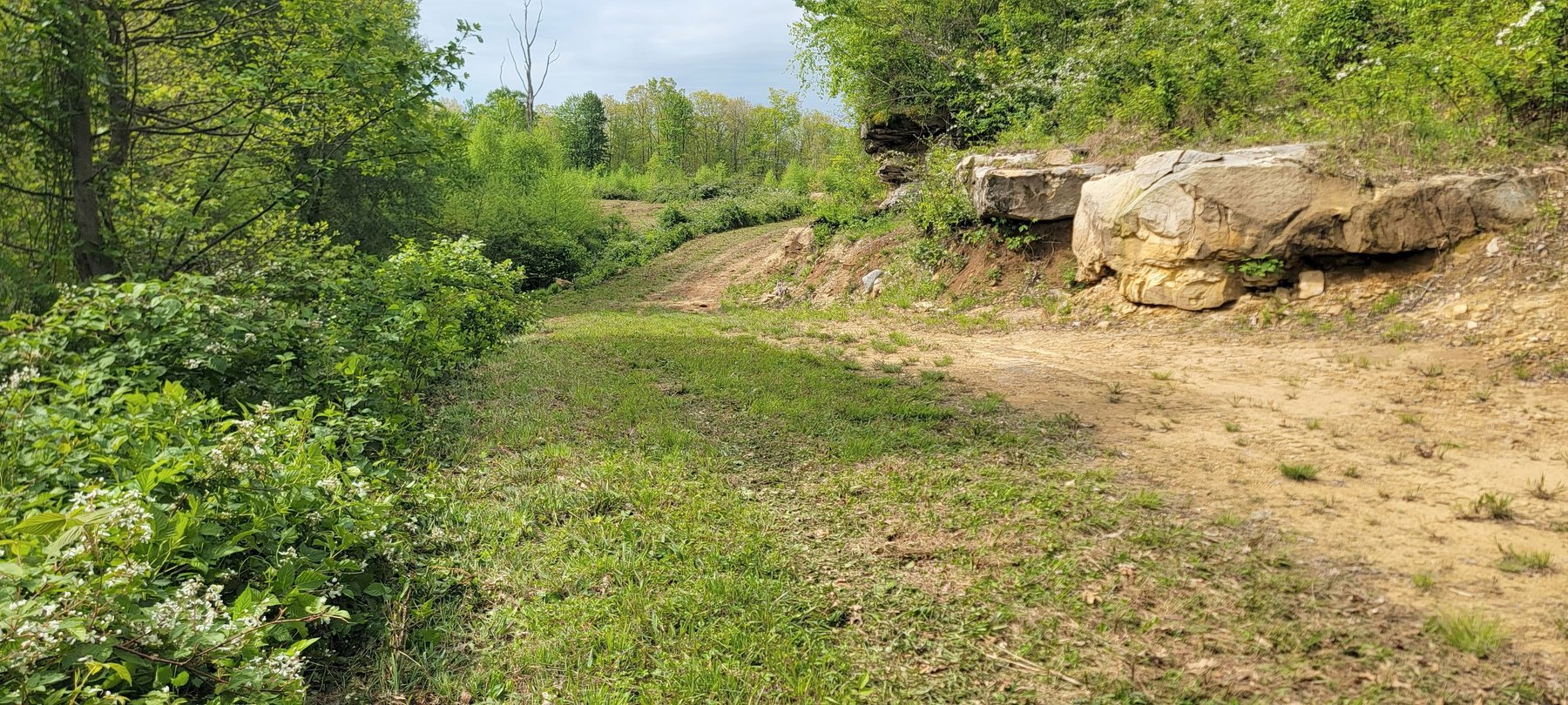 Image for TBD Determined Veterans Memorial Highway Kingwood, 5 Acre Lot!