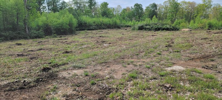 Image for TBD Determined Veterans Memorial Highway Kingwood, 5 Acre Lot!