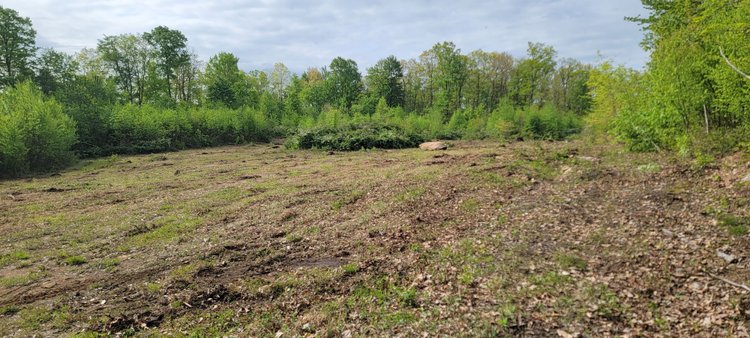 Image for TBD Determined Veterans Memorial Highway Kingwood, 5 Acre Lot!