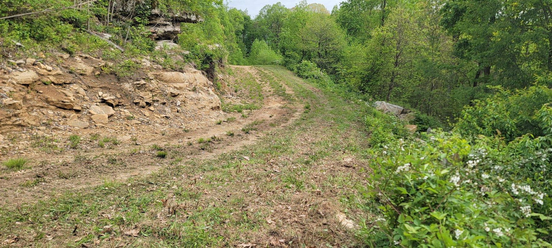 Image for TBD Determined Veterans Memorial Highway Kingwood, 5 Acre Lot!