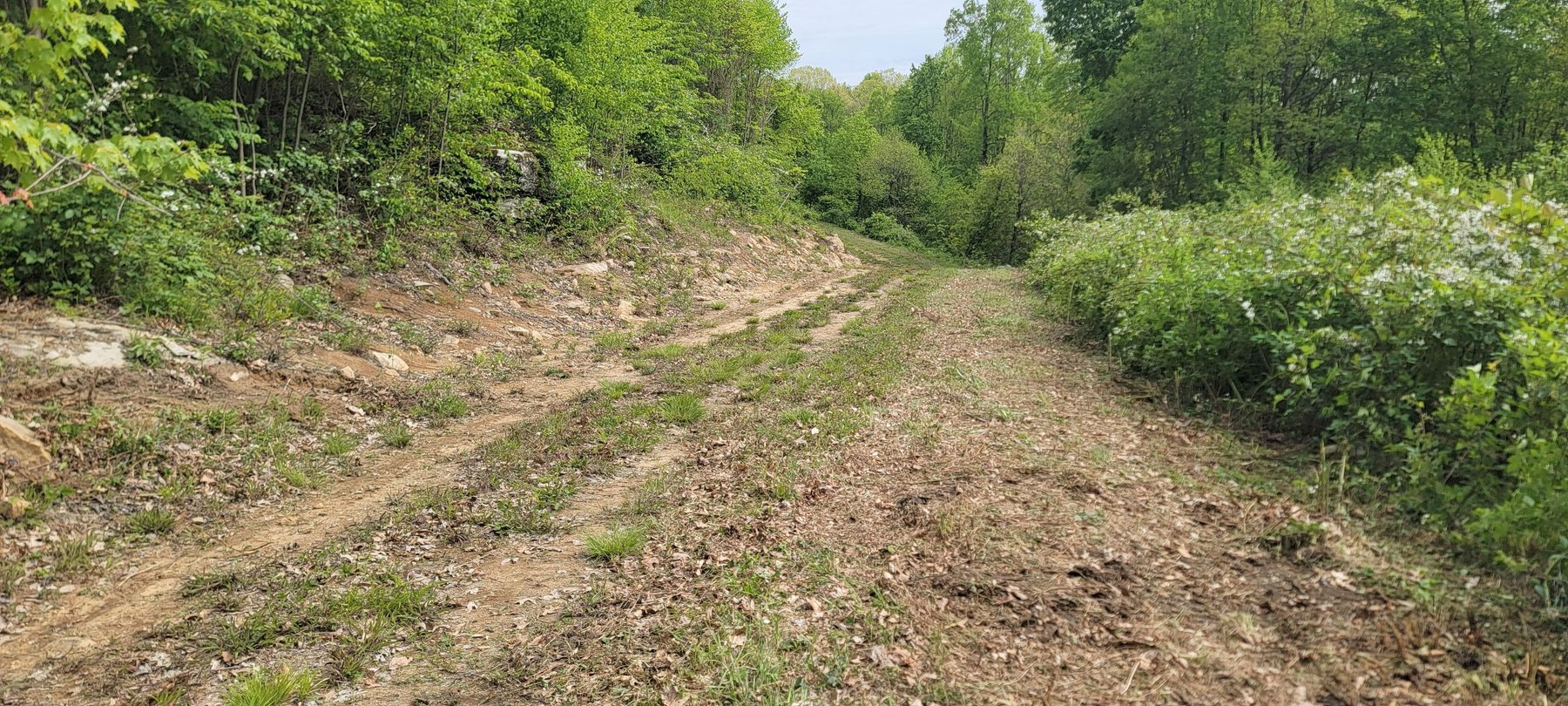 Image for TBD Determined Veterans Memorial Highway Kingwood, 5 Acre Lot!