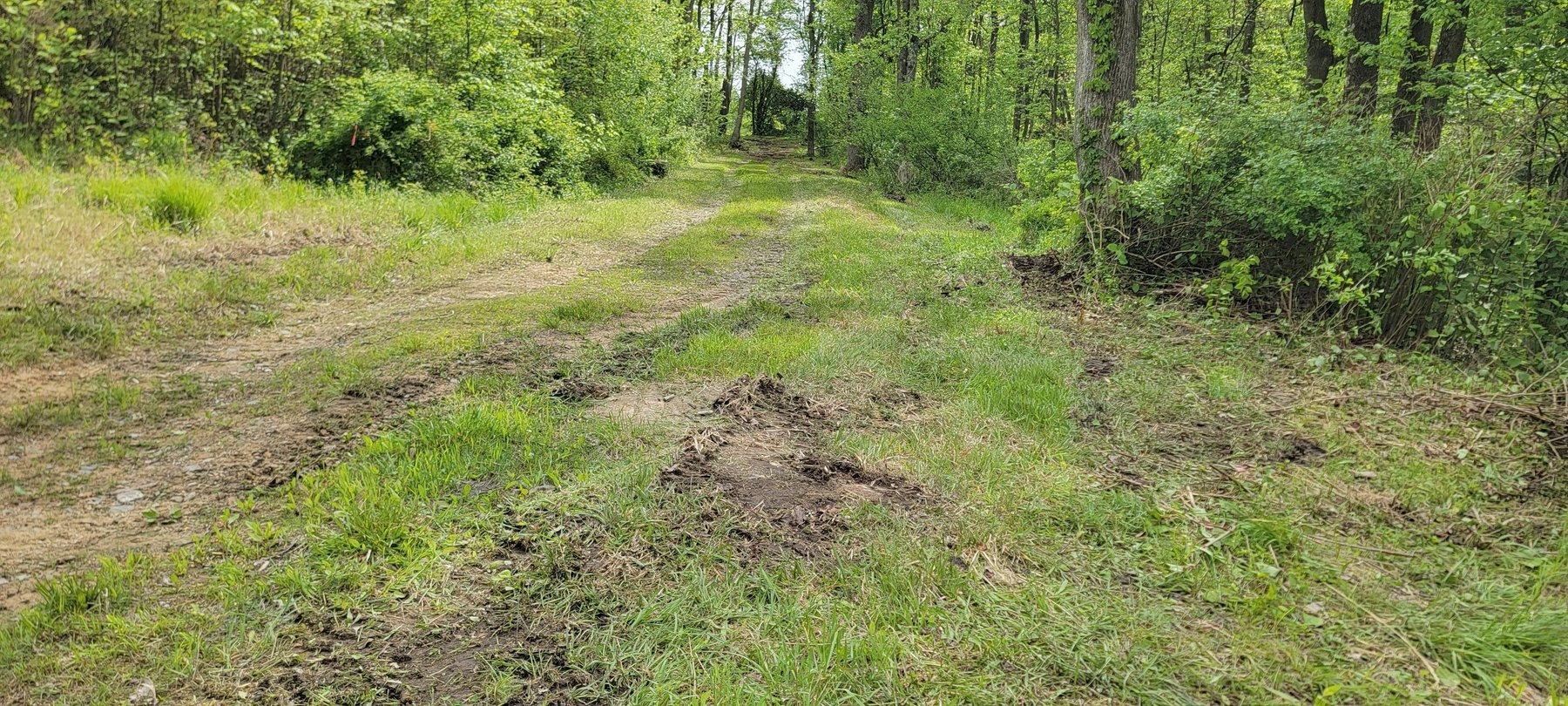 Image for TBD Determined Veterans Memorial Highway Kingwood, 5 Acre Lot!