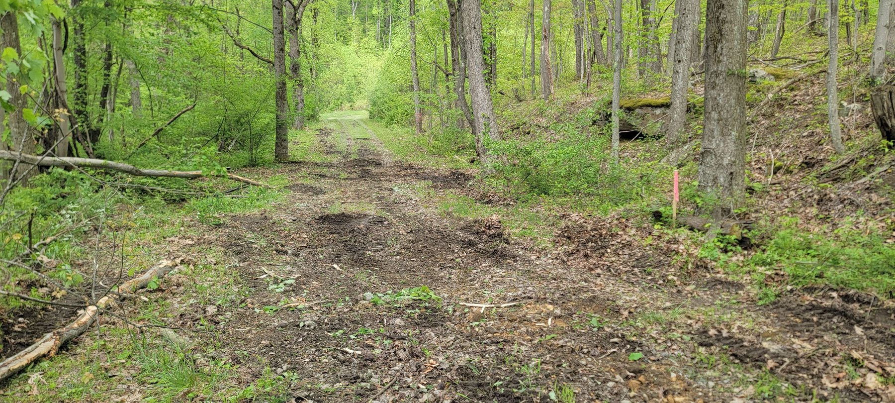 Image for TBD Determined Veterans Memorial Highway Kingwood, 5 Acre Lot!