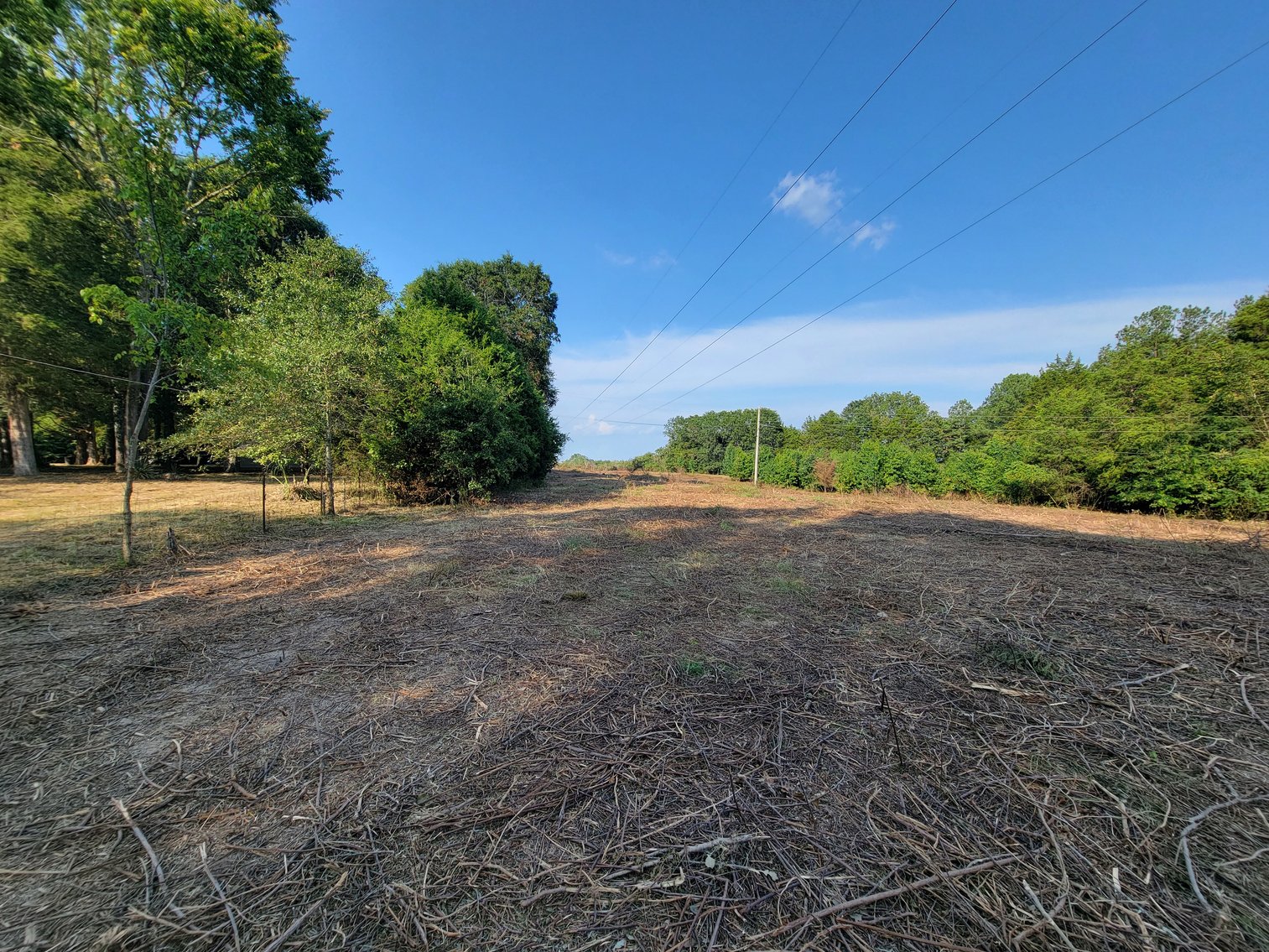 Image for Home with Outbuildings on 9 +/- Acres in Hollywood, Alabama SEPTEMBER 21st 10 AM (CT)