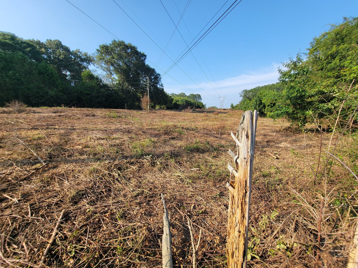 Image for Home with Outbuildings on 9 +/- Acres in Hollywood, Alabama SEPTEMBER 21st 10 AM (CT)