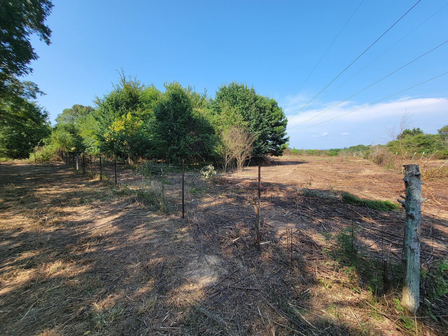 Image for Home with Outbuildings on 9 +/- Acres in Hollywood, Alabama SEPTEMBER 21st 10 AM (CT)