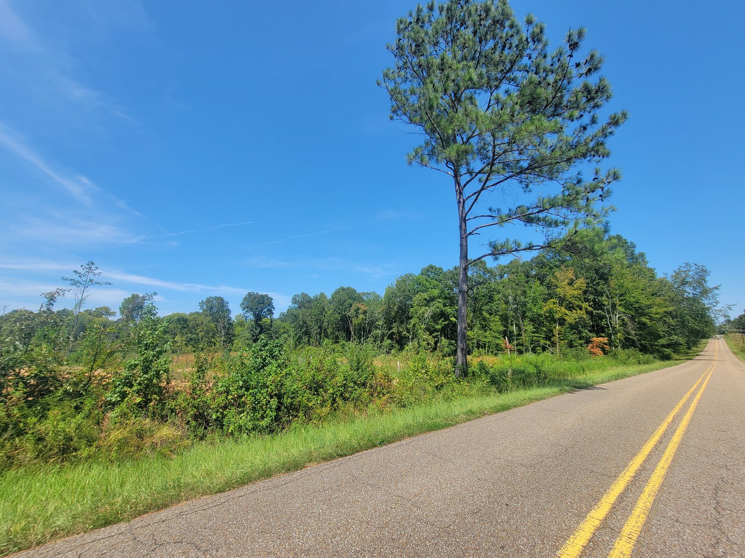 Image for 30 +/- Acres offered in 12 Tracts plus a 100' x 300' Commercial Lot in Centre, Alabama
