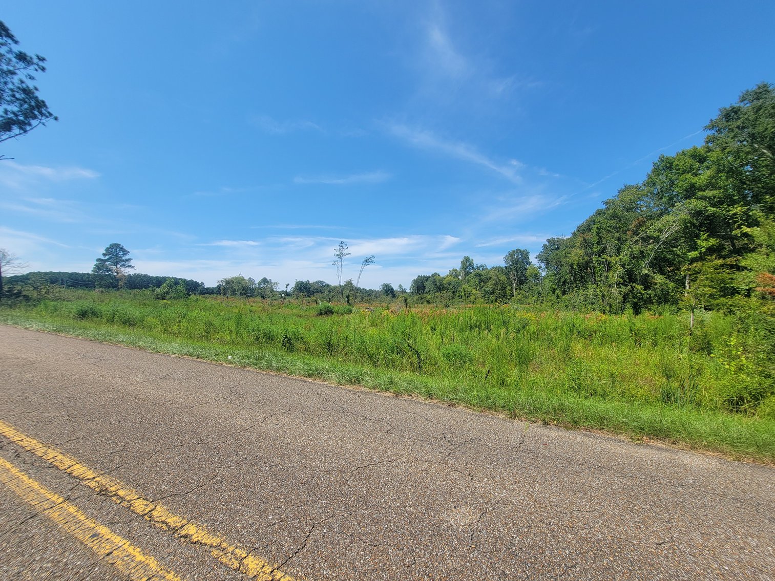 Image for 30 +/- Acres offered in 12 Tracts plus a 100' x 300' Commercial Lot in Centre, Alabama