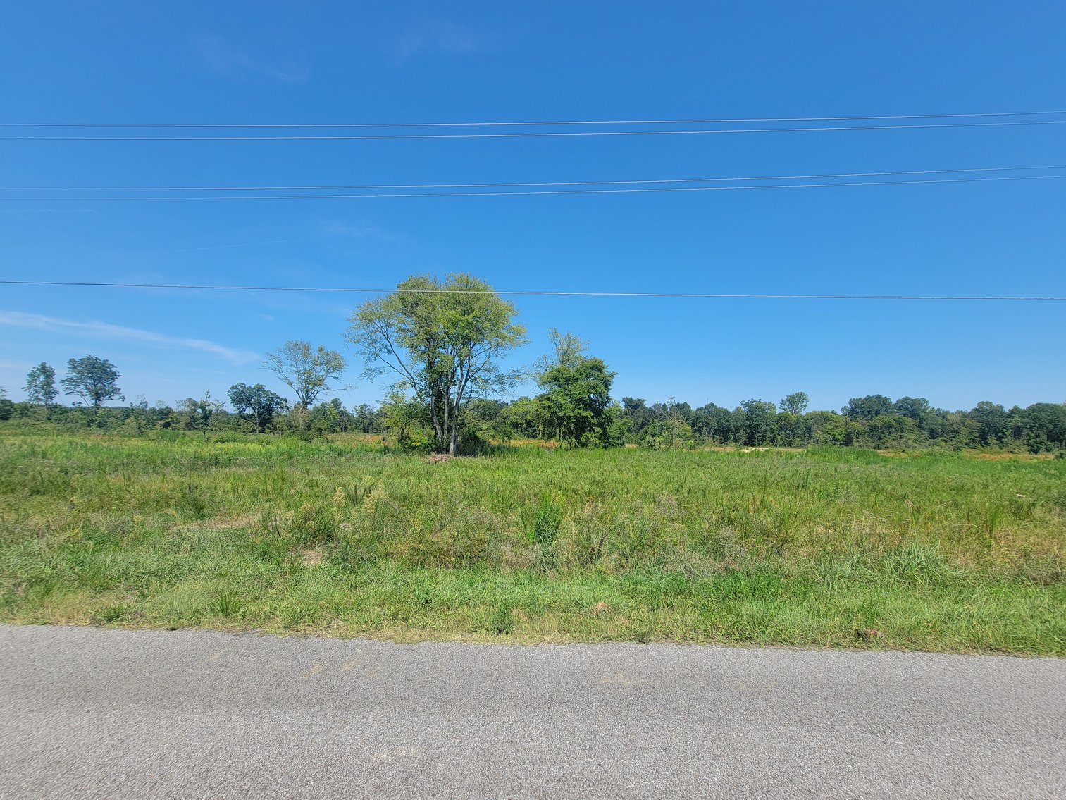 Image for 30 +/- Acres offered in 12 Tracts plus a 100' x 300' Commercial Lot in Centre, Alabama