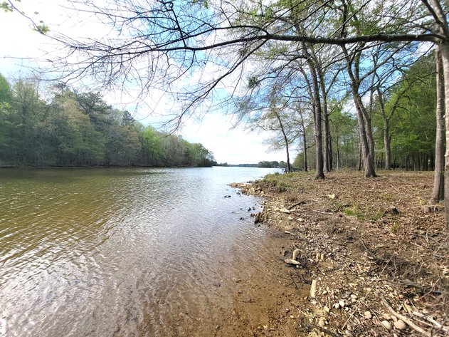 Image for ABSOLUTE AUCTION: WEISS Lake Waterfront, 05.10.25