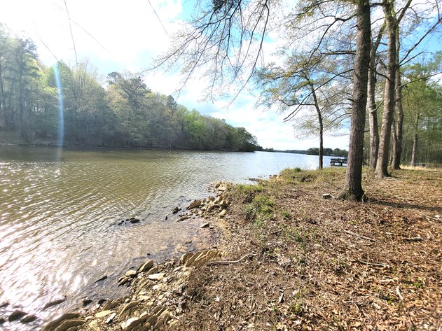 Image for ABSOLUTE AUCTION: WEISS Lake Waterfront, 05.10.25