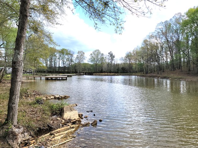 Image for ABSOLUTE AUCTION: WEISS Lake Waterfront, 05.10.25