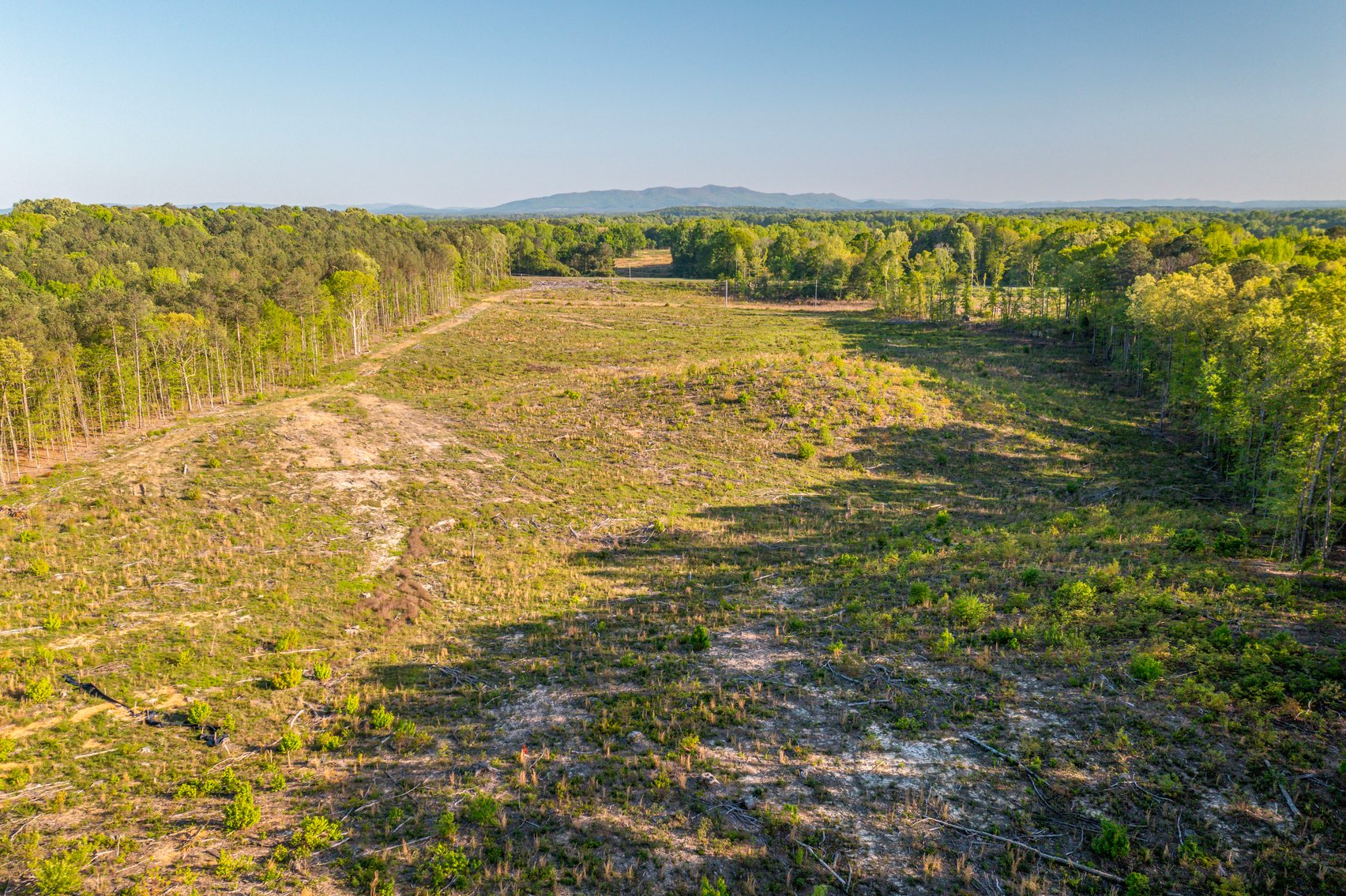 Image for Thornton Property 05.17.25