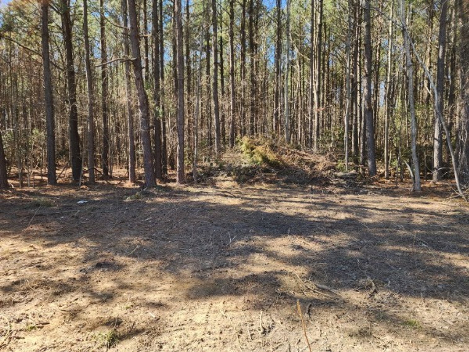 Image for Lodge Hall at Chilton's .5 Acres +/- Montross VA Real Estate Auction