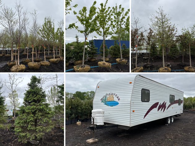 Image for Spring Tree Auction With 2005 Fleetwood Travel Trailer