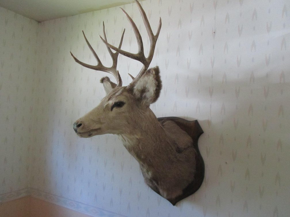 Schaaf Estate, Pequot Lakes, MN