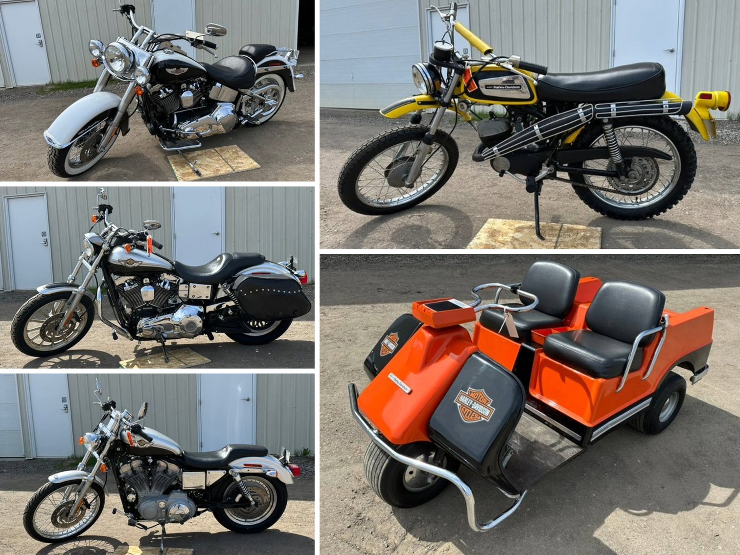 Harley Davidson Collection 139950