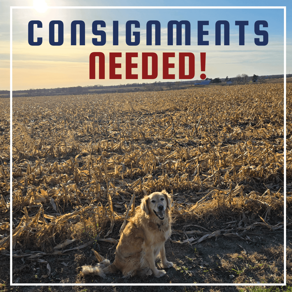 Image for CONSIGNMENTS