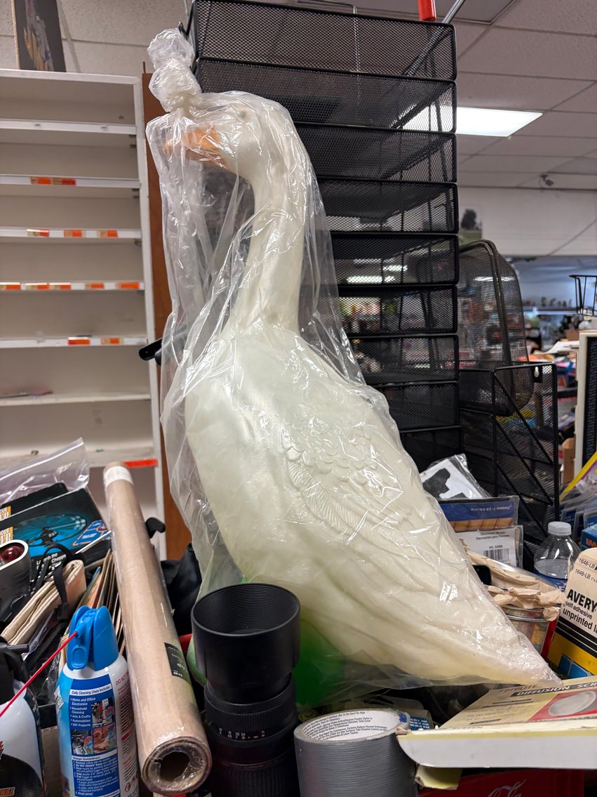 Image for March 21st Live Sale