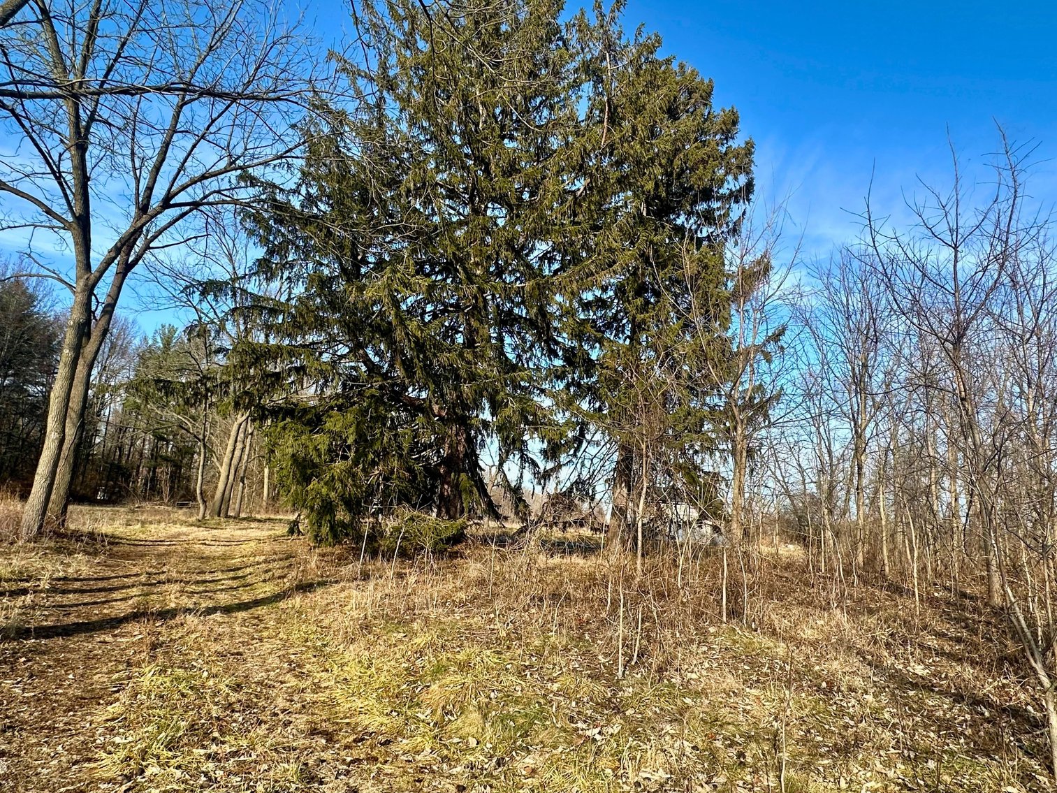 Image for Minimum Bid $115,000 6.5 Acre Land Auction 11320 S. River Rd. Grand Rapids, OH 43522