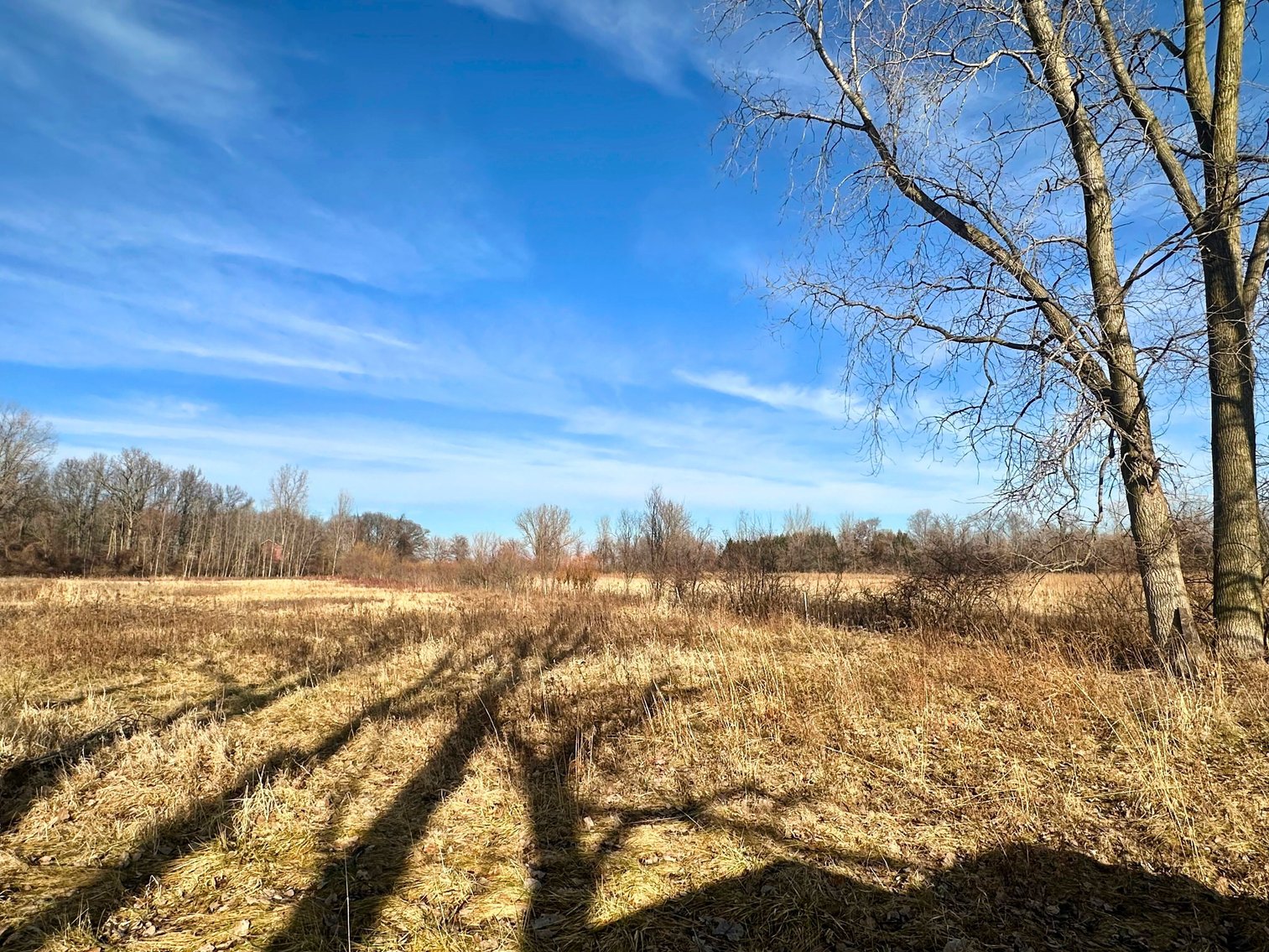 Image for Minimum Bid $115,000 6.5 Acre Land Auction 11320 S. River Rd. Grand Rapids, OH 43522