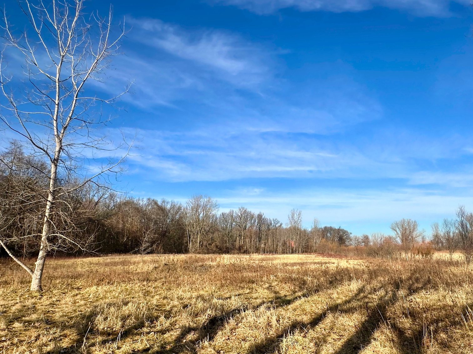 Image for Minimum Bid $115,000 6.5 Acre Land Auction 11320 S. River Rd. Grand Rapids, OH 43522