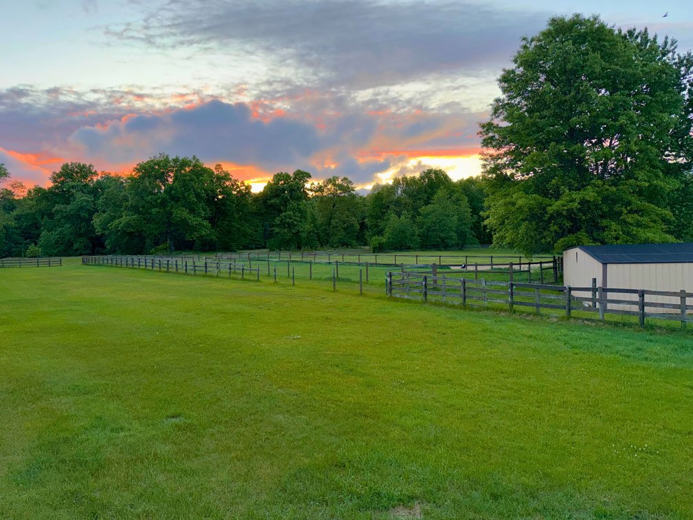 Image for Online Auction 16+ Acre Horse Farm 5691 County Rd. 1-2 Swanton, OH 43558