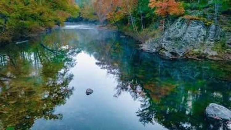 Image for Online Land Auction - Craigs Creek - Outdoor lovers dream