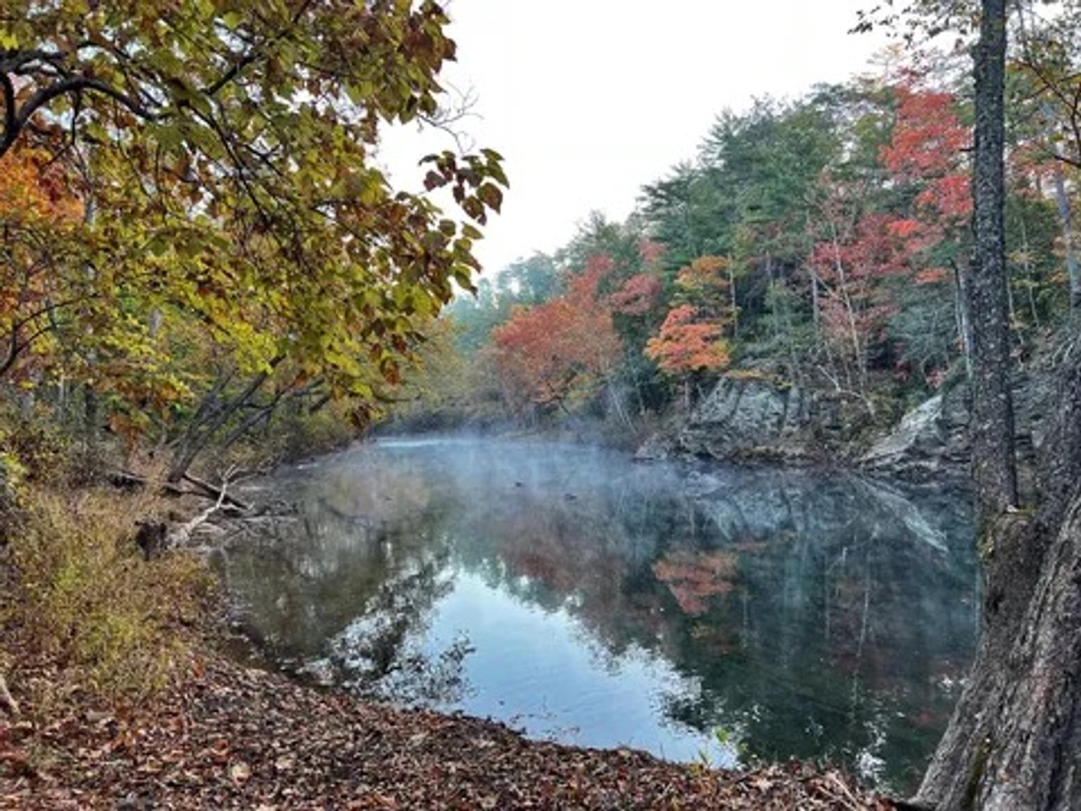 Image for Online Land Auction - Craigs Creek - Outdoor lovers dream