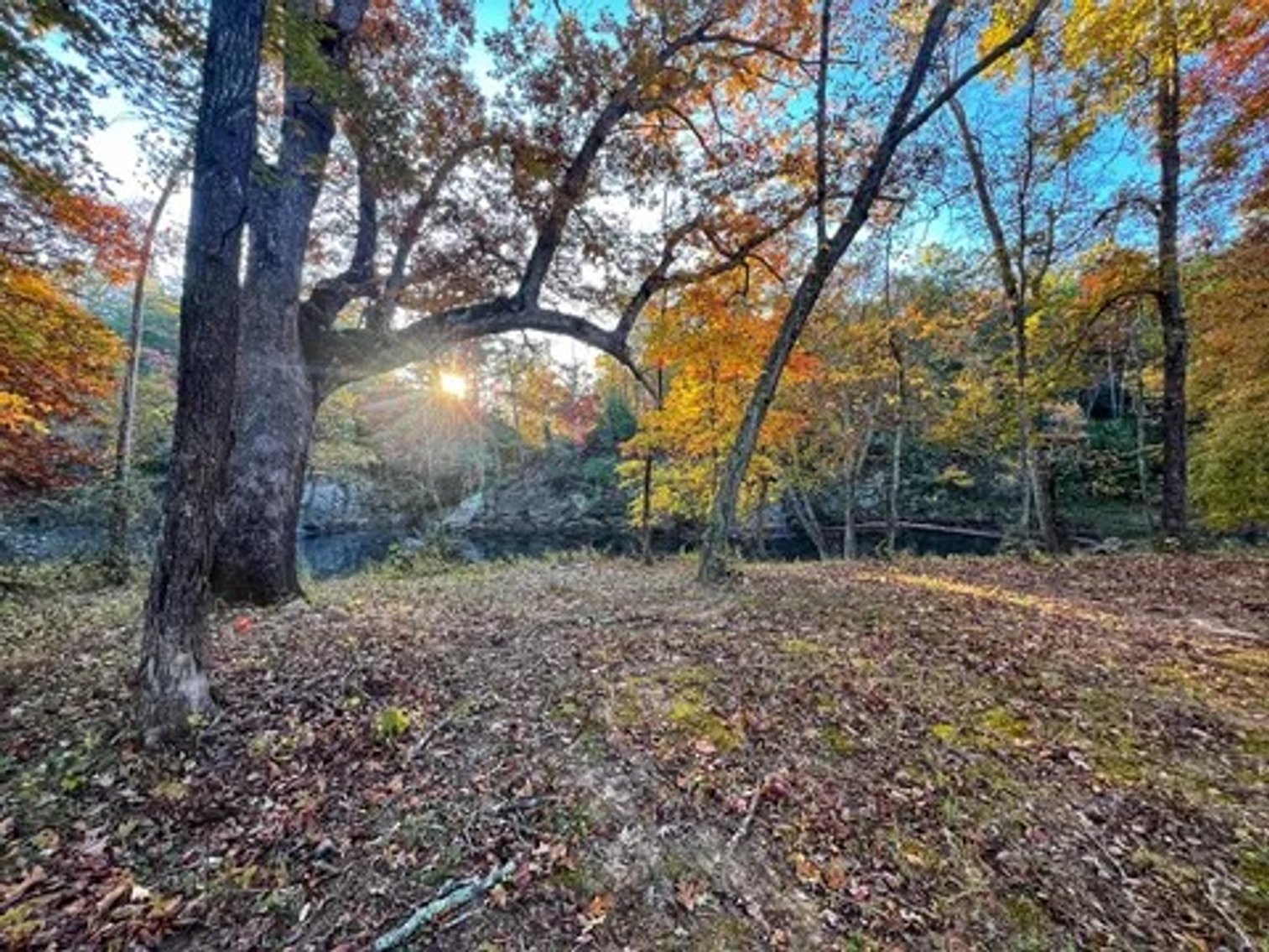 Image for Online Land Auction - Craigs Creek - Outdoor lovers dream