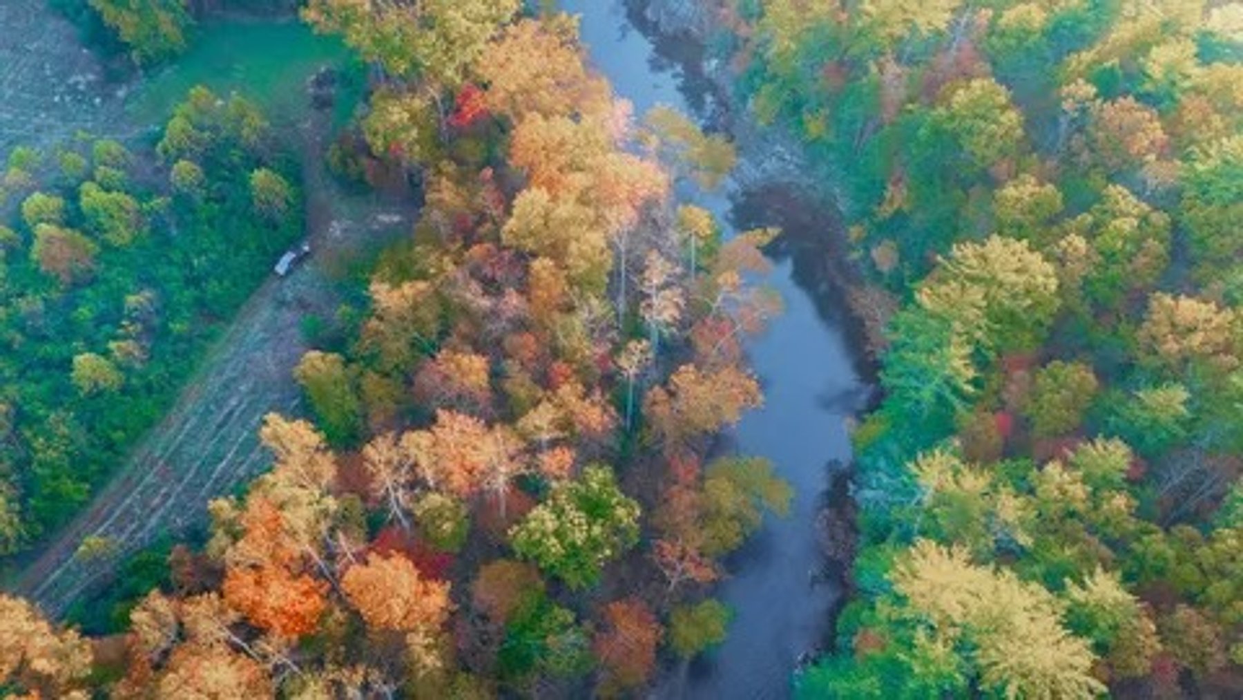 Image for Online Land Auction - Craigs Creek - Outdoor lovers dream