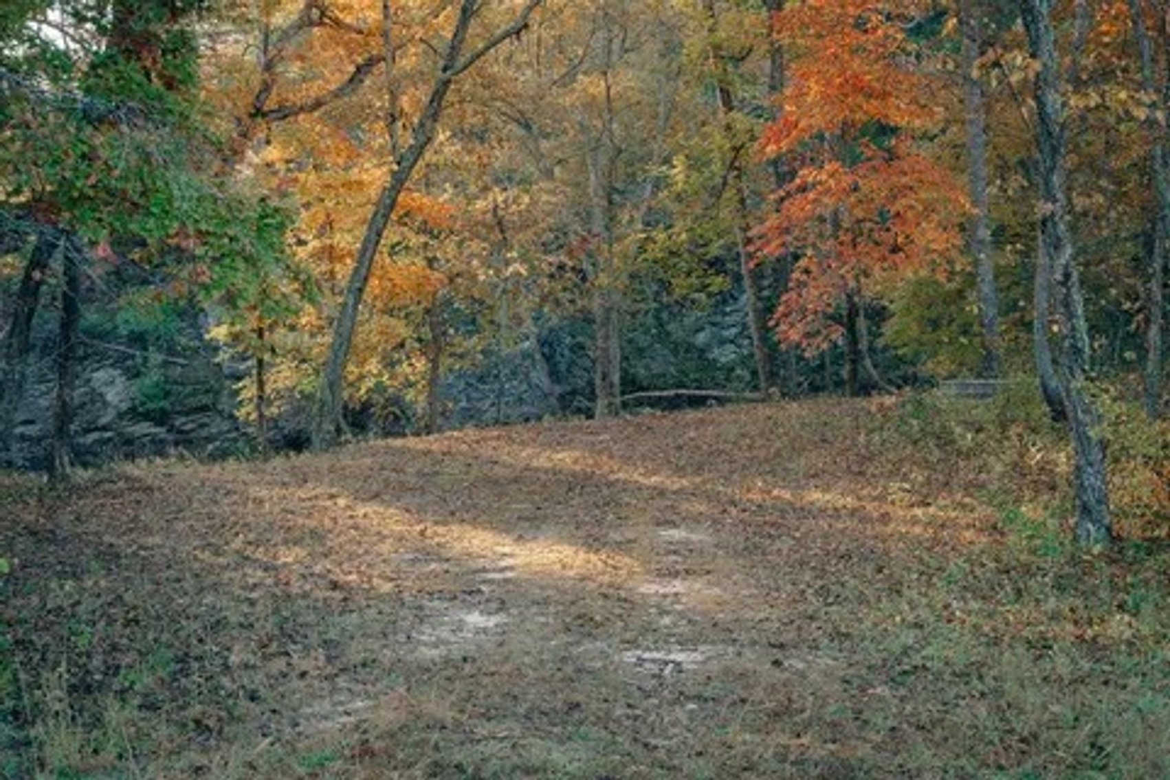 Image for Online Land Auction - Craigs Creek - Outdoor lovers dream