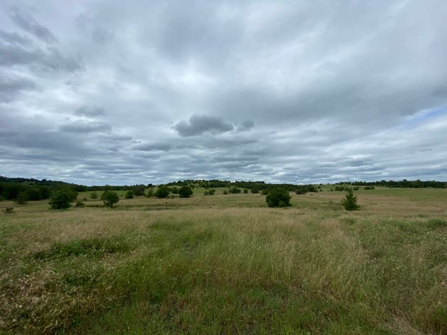 Image for Guardian/Personal Representative’s Real Estate Land Auction - Skiatook