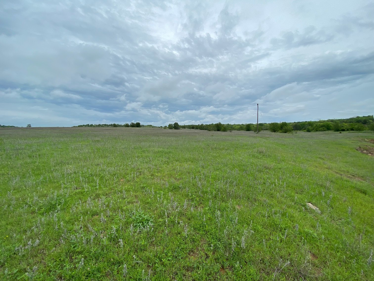 Image for Guardian/Personal Representative’s Real Estate Land Auction - Skiatook
