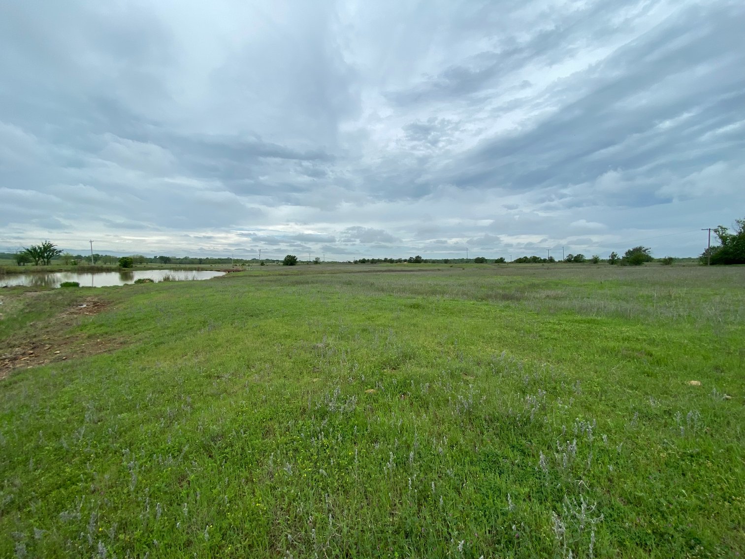 Image for Guardian/Personal Representative’s Real Estate Land Auction - Skiatook