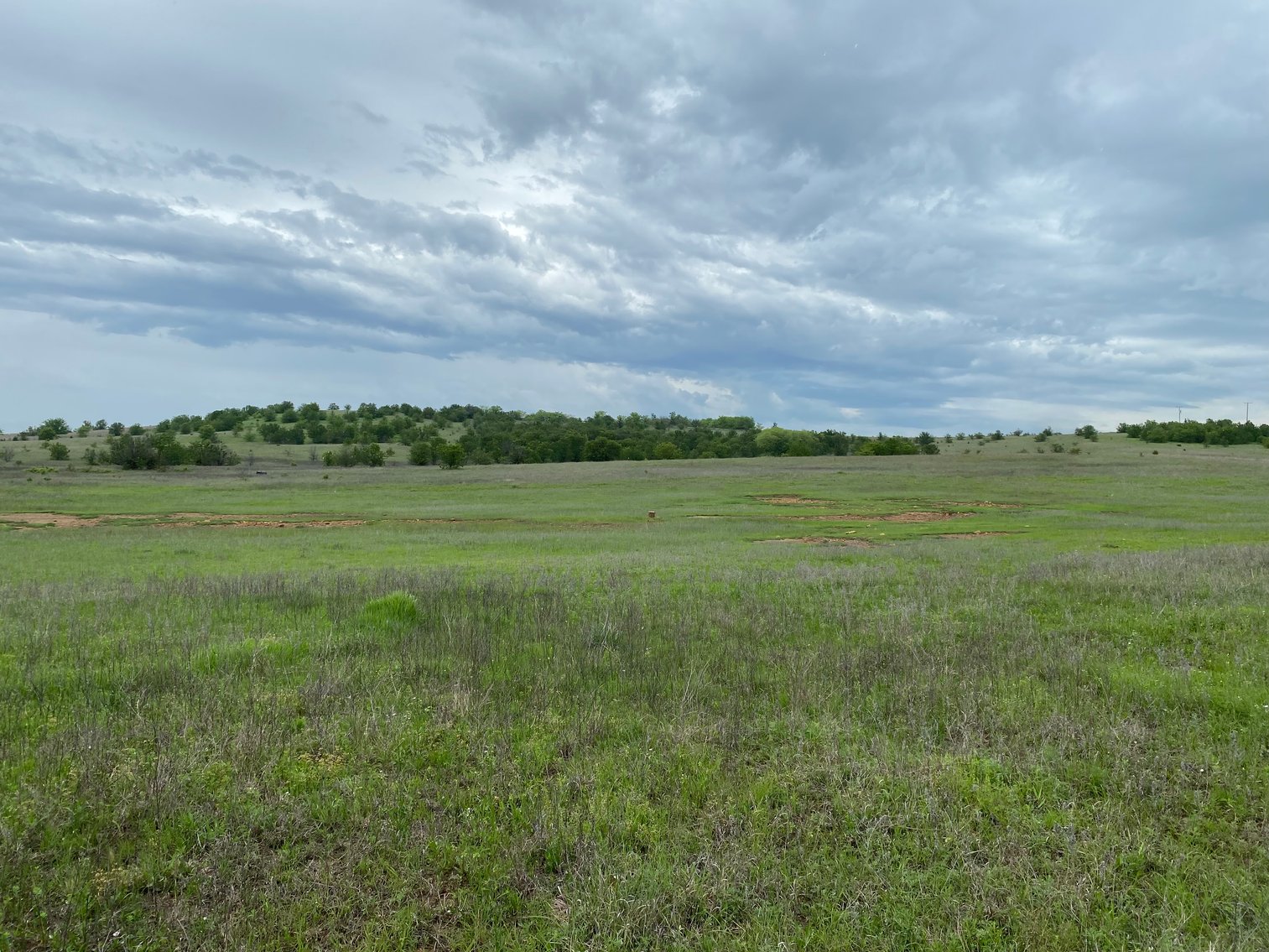 Image for Guardian/Personal Representative’s Real Estate Land Auction - Skiatook