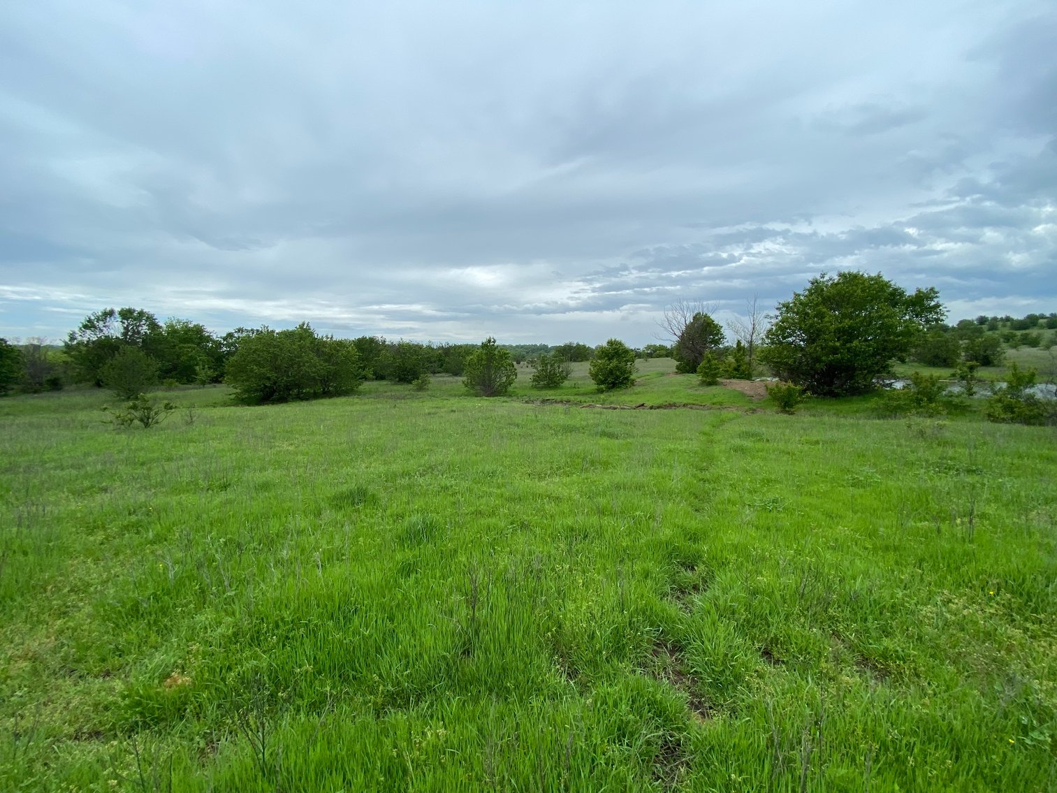 Image for Guardian/Personal Representative’s Real Estate Land Auction - Skiatook