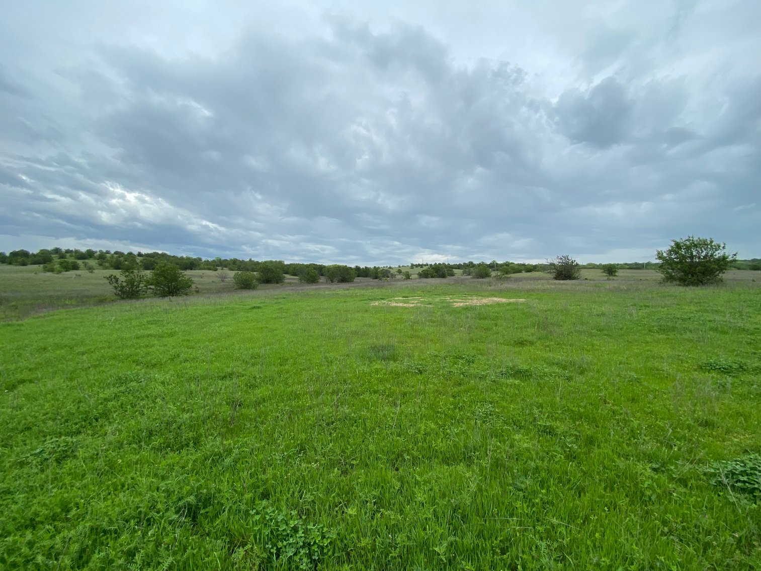 Image for Guardian/Personal Representative’s Real Estate Land Auction - Skiatook