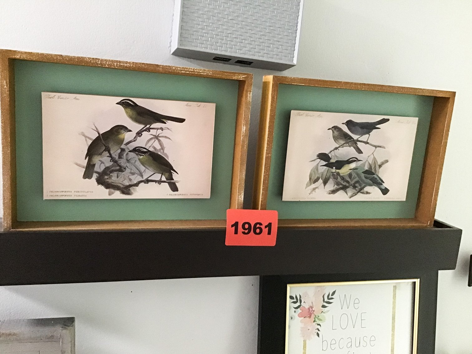 Image for Tools, Décor, Coins & Designer Finds Auction