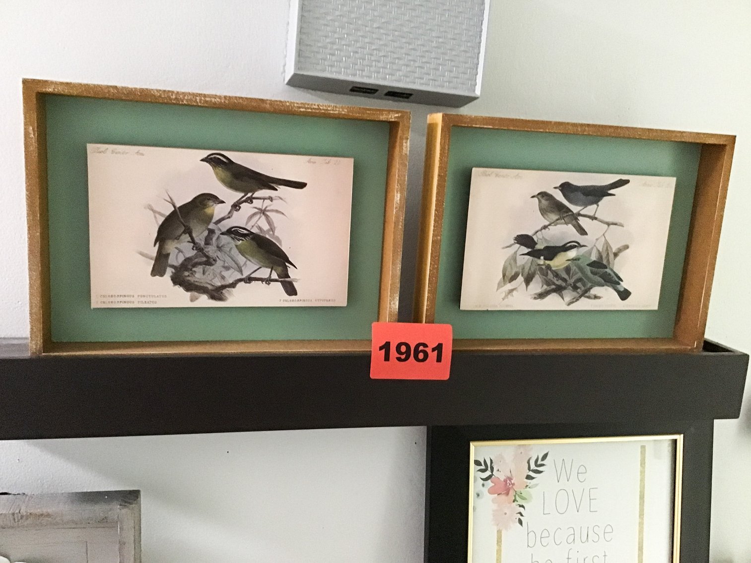 Image for Tools, Décor, Coins & Designer Finds Auction