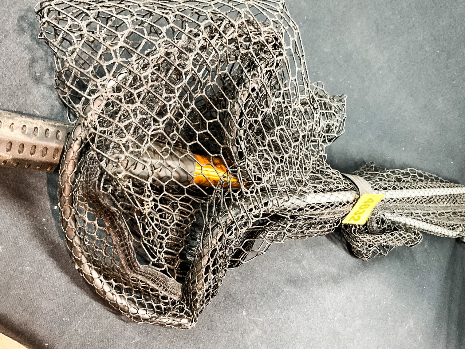 Image for Fishing, Tactical & Outdoor Supply Auction