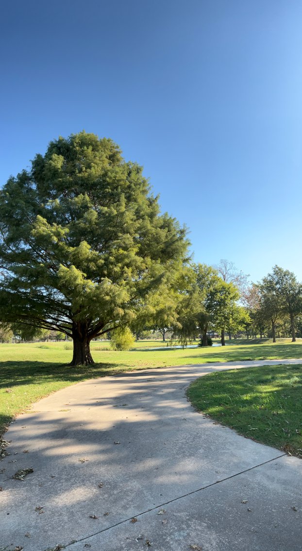 Image for Multi Par Trustee's Real Estate Auction