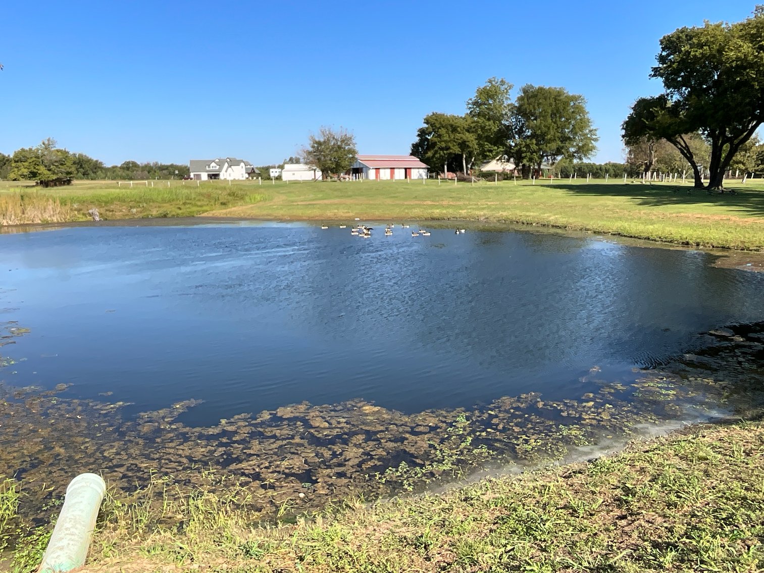 Image for Multi Par Trustee's Real Estate Auction