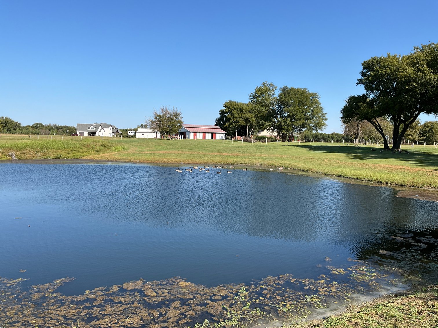 Image for Multi Par Trustee's Real Estate Auction