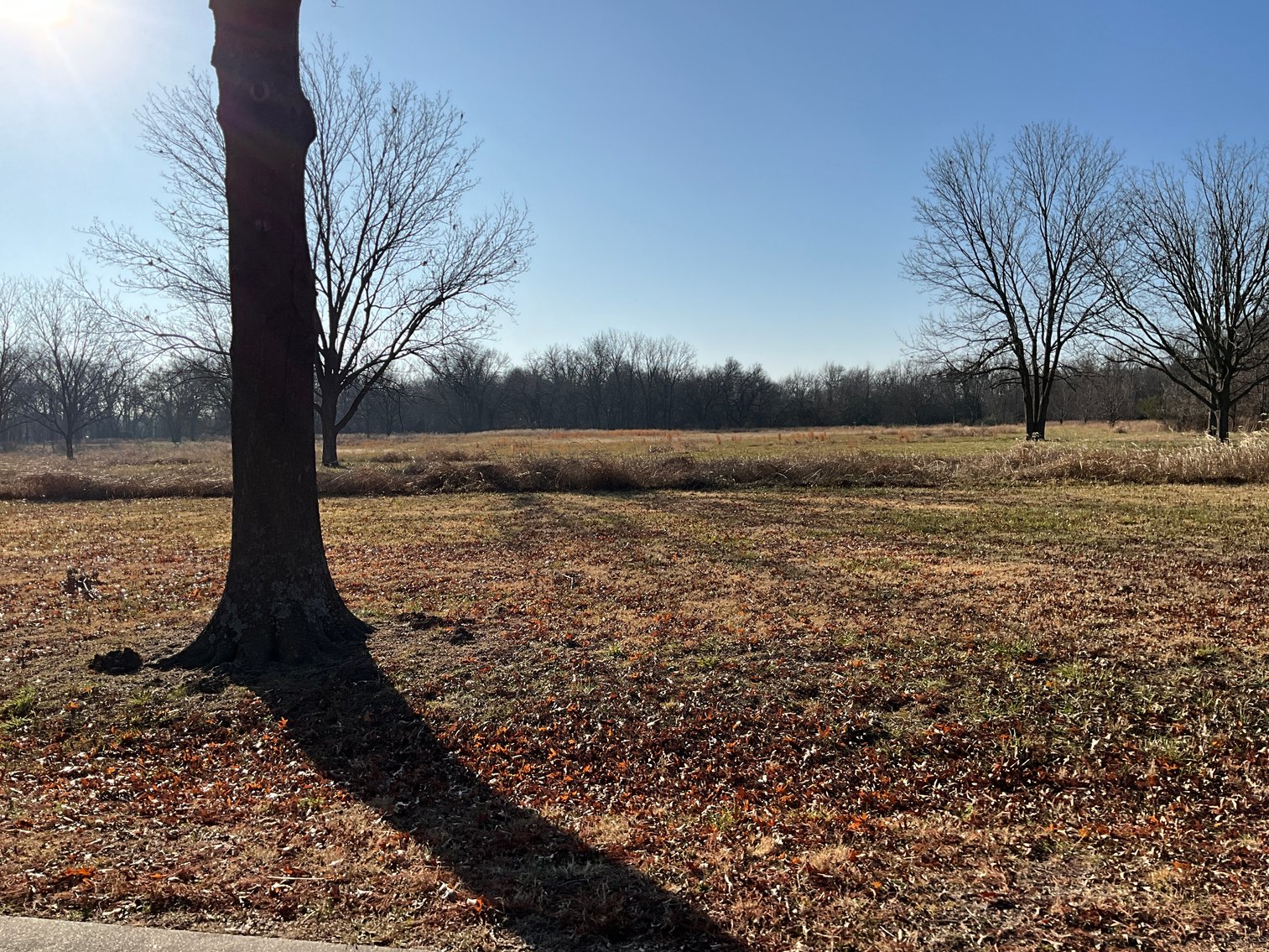 Image for Multi Par Trustee's Real Estate Auction