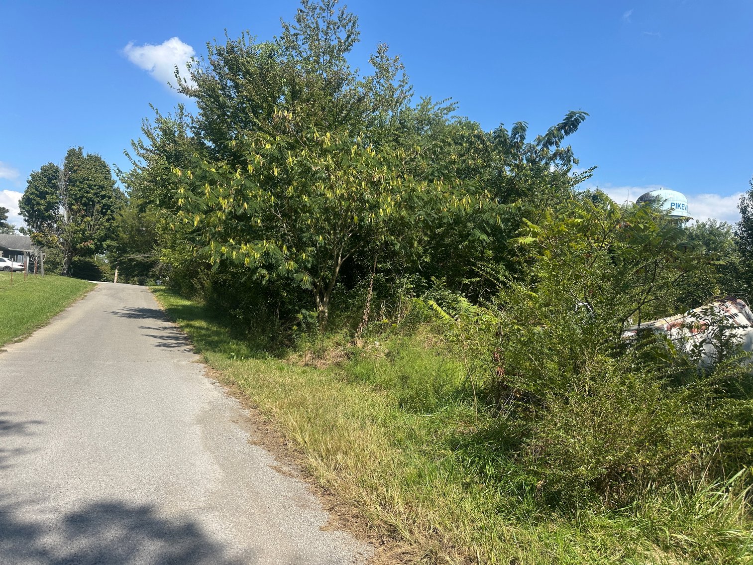 Image for 129 Sawmill Rd Pikeville Tn 37367