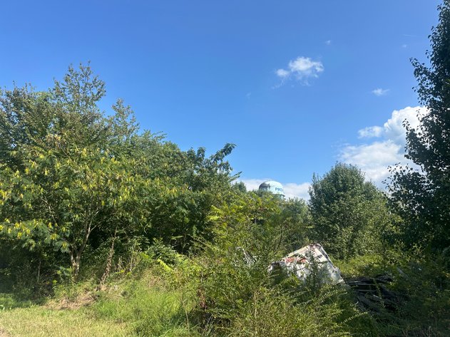 Image for 129 Sawmill Rd Pikeville Tn 37367