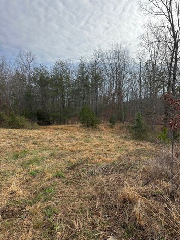 Image for 71 HERRINGTON RD Pikeville TN 37367